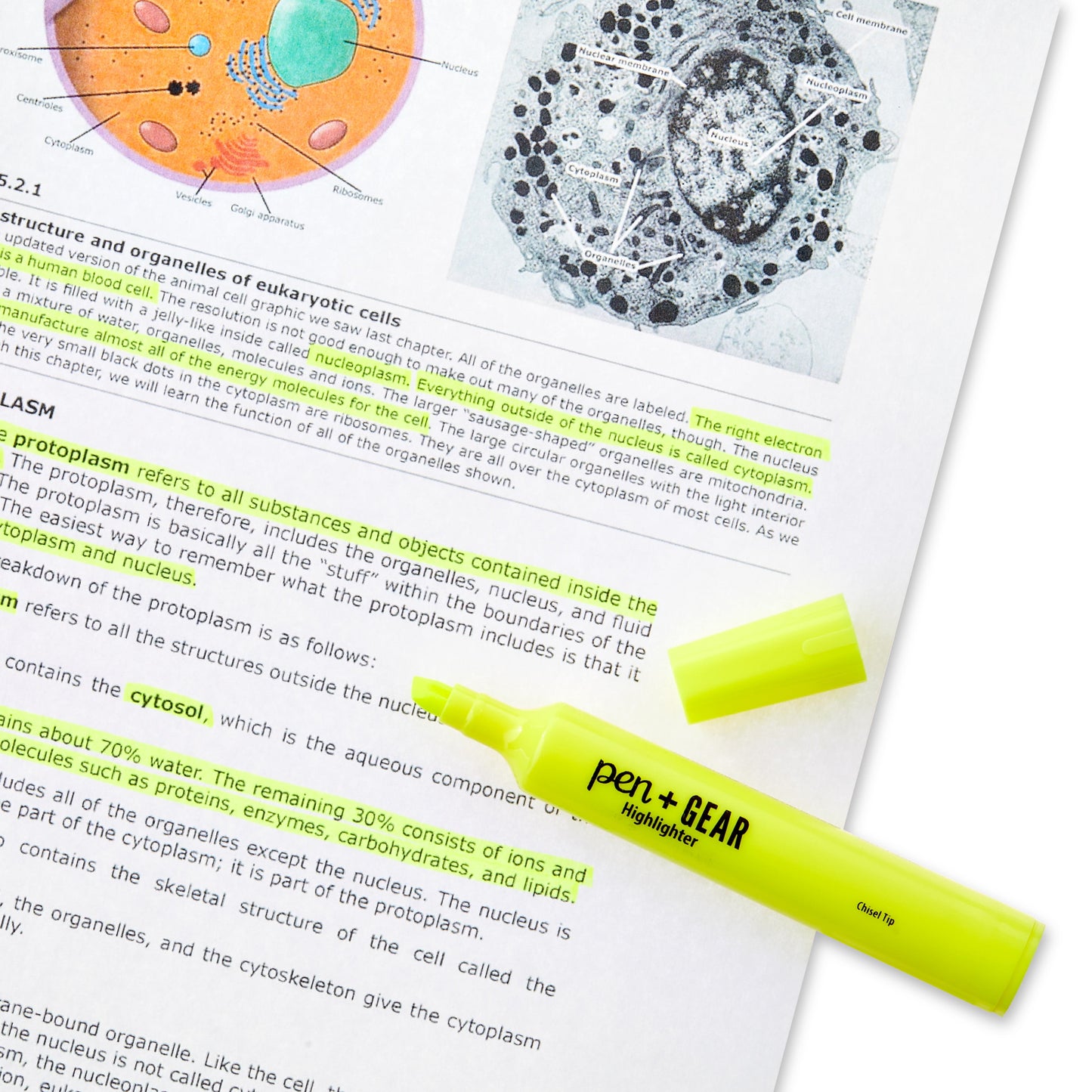 Illuminate Your Notes with Our 36-Pack of Bright Yellow Chisel Tip Highlighters!